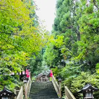 真山神社の写真・動画_image_716489
