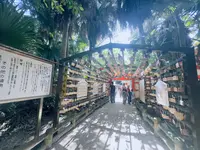 青島神社の写真・動画_image_717817
