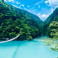夢の吊橋の写真・動画_image_719959