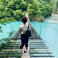 夢の吊橋の写真・動画_image_719960