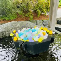 (財)越後胎内観音の写真・動画_image_719987