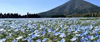 花の駅 生駒高原の写真・動画_image_721037