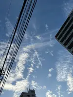 Giraffa enoshimaジラッファ江ノ島の写真・動画_image_721849