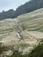 甘味処よもぎ屋の写真・動画_image_722440