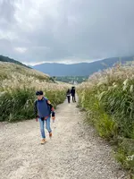甘味処よもぎ屋の写真・動画_image_722441