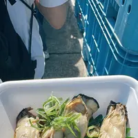 港の朝市の写真・動画_image_723169