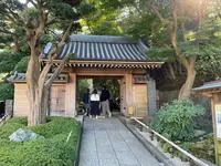 報国寺（竹寺）の写真・動画_image_724519