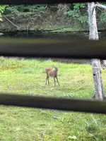 カムイの湯 ラビスタ阿寒川の写真・動画_image_725701