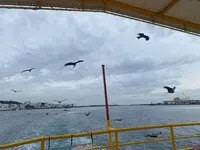 水中観光船「にじいろさかな号」の写真・動画_image_726832