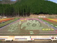 たんとう花公園の写真・動画_image_72693