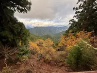 世界遺産 大峯奥駈道 石碑の写真・動画_image_727049