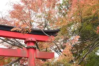 薬王院 本堂の写真・動画_image_728362