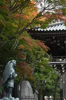 薬王院 本堂の写真・動画_image_728364