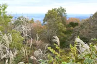 高尾山の写真・動画_image_728366