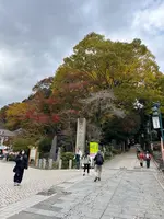 高尾山口駅の写真・動画_image_728373