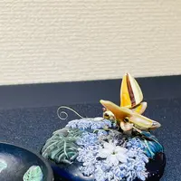 花影抄の写真・動画_image_728506