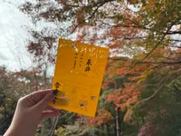 常寂光寺の写真・動画_image_728577