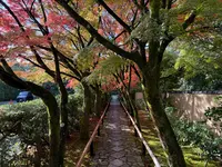 光悦寺の写真・動画_image_728620