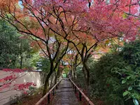 光悦寺の写真・動画_image_728621