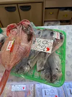 道の駅 伊東マリンタウンの写真・動画_image_728659