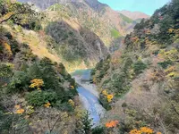 夢の吊橋の写真・動画_image_729644