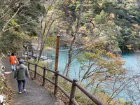 夢の吊橋の写真・動画_image_729645