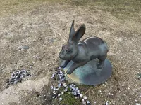 宍道湖うさぎの写真・動画_image_729676