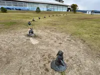 宍道湖うさぎの写真・動画_image_729678