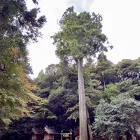神魂神社の写真・動画_image_729680