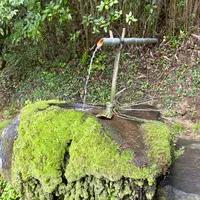 神魂神社の写真・動画_image_729683
