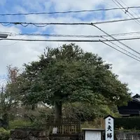 八重垣神社の写真・動画_image_729685