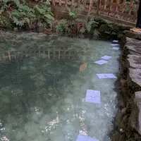 八重垣神社の写真・動画_image_729696