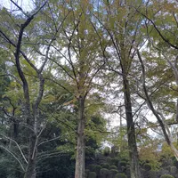 野見宿禰神社の写真・動画_image_729729