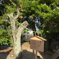万九千神社の写真・動画_image_729771