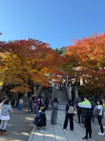 大山阿夫利神社の写真・動画_image_729977