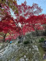 大山寺の写真・動画_image_729980