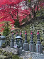 大山寺の写真・動画_image_729982