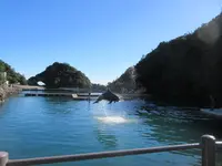 太地町立くじらの博物館の写真・動画_image_729992