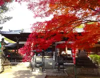 寂光院の写真・動画_image_730539