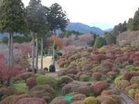 山のホテルの写真・動画_image_731734