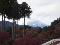 山のホテルの写真・動画_image_731735