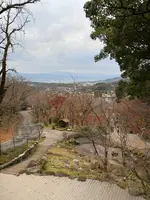 竈門神社の写真・動画_image_732599