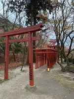 竈門神社の写真・動画_image_732600