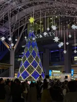 博多駅の写真・動画_image_732607