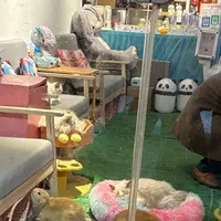 田子坊（Tianzifang）の写真・動画_image_734619