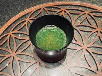 鮨 にえばなの写真・動画_image_734687