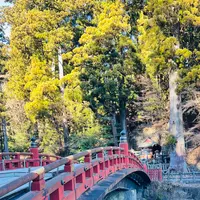 神橋の写真・動画_image_734742