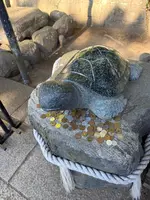 酒列磯前神社の写真・動画_image_736206