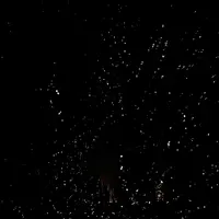 チームラボ 幽谷隠田跡の写真・動画_image_736220