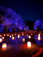 チームラボ 幽谷隠田跡の写真・動画_image_736223